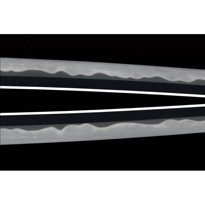 Bizen Kami Minamoto Sukekuni Katana + NBTHK Tokubetsu Hozon Token