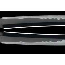 Bizen Kami Minamoto Sukekuni Katana + NBTHK Tokubetsu Hozon Token Bizen Kami Minamoto Sukekuni Katana + NBTHK Tokubetsu Hozon Token