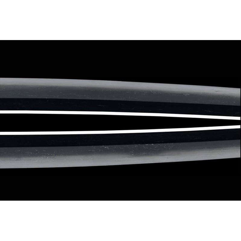 Harima Daijyo Fujiwara Shigetaka Tameshi Saidan Mei Wakizashi + NBTHK Hozon Harima Daijyo Fujiwara Shigetaka Tameshi Saidan Mei Wakizashi + NBTHK Hozon