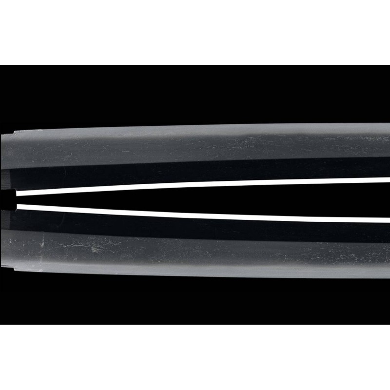 Harima Daijyo Fujiwara Shigetaka Tameshi Saidan Mei Wakizashi + NBTHK Hozon Harima Daijyo Fujiwara Shigetaka Tameshi Saidan Mei Wakizashi + NBTHK Hozon