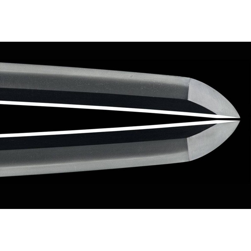 Fujiwara Yukinaga Wakizashi + NBTHK Hozon