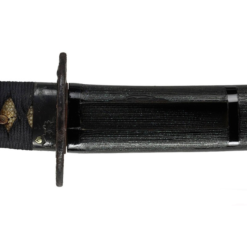 Fujiwara Yukinaga Wakizashi + NBTHK Hozon