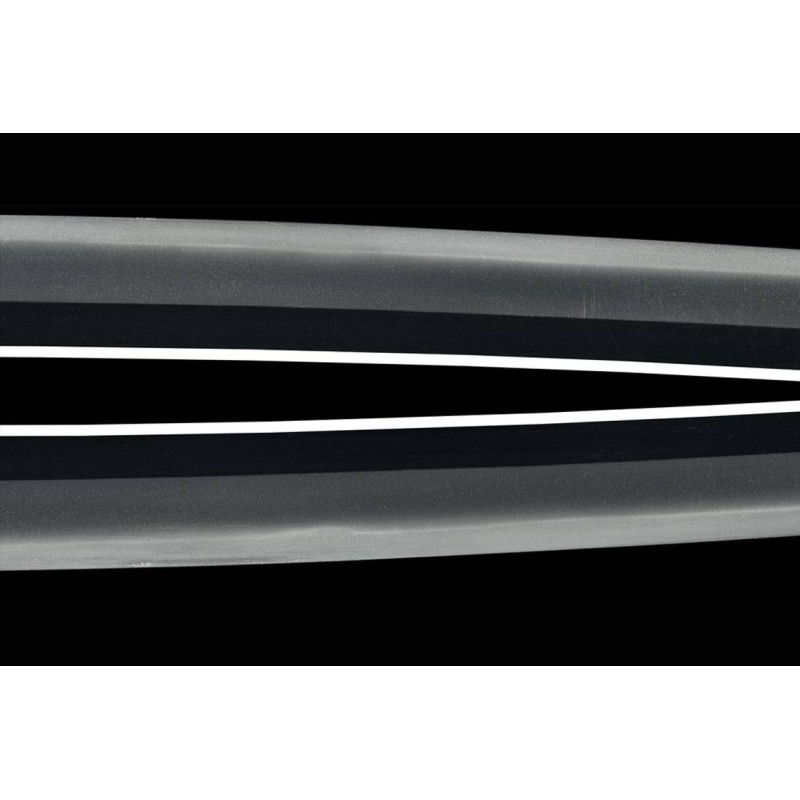 Fujiwara Yukinaga Wakizashi + NBTHK Hozon