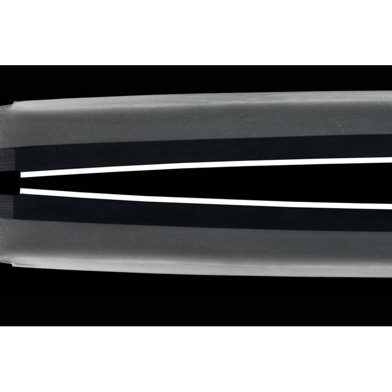 Fujiwara Yukinaga Wakizashi + NBTHK Hozon