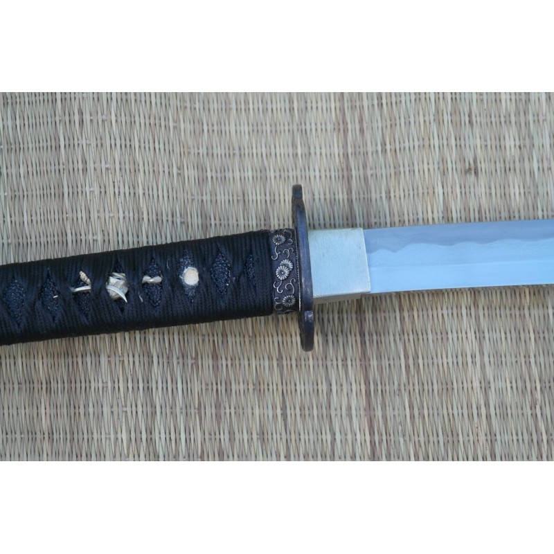 Chrysanthemum Katana Chrysanthemum Katana