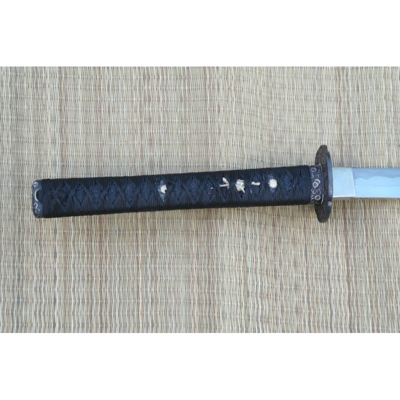 Chrysanthemum Katana Chrysanthemum Katana