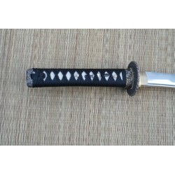 Naginata Naoshi Wakizashi