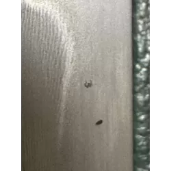 Sakura Damascus Katana – Japanisches Samurai Schwert