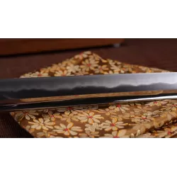 Nami Katana met Bo-Hi