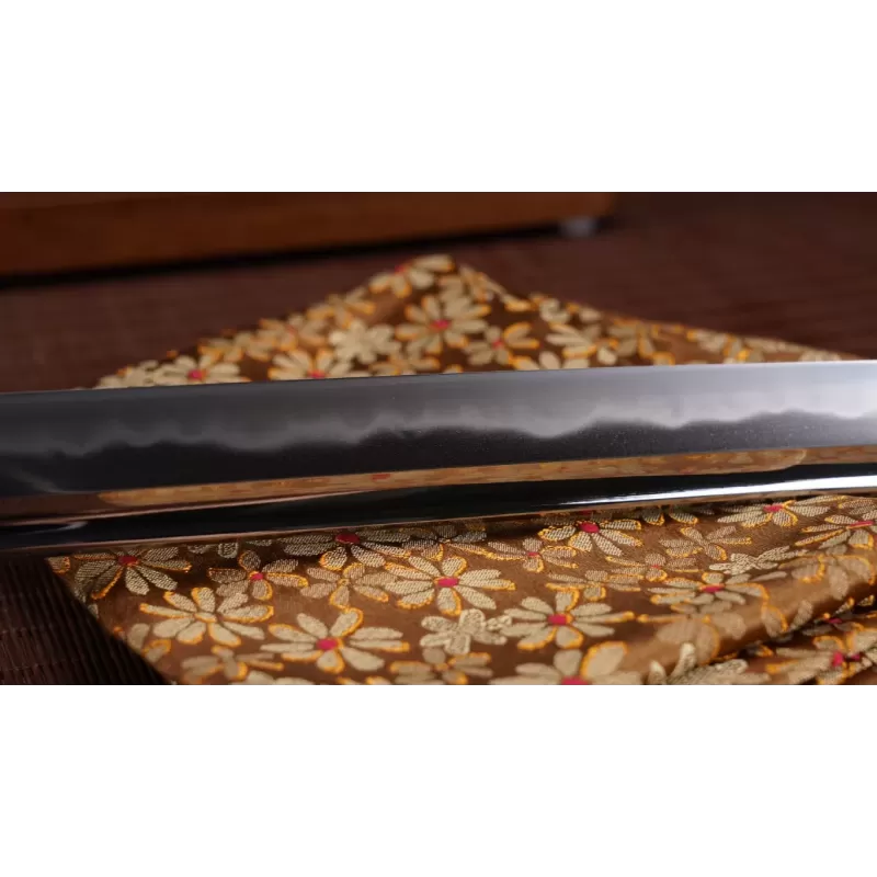 Nami Katana met Bo-Hi