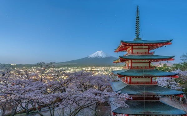 samurai-sakura-kersenbloesem-zwaard