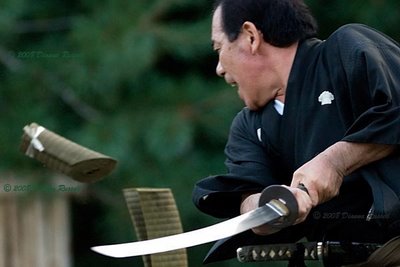 tameshigiri tameshigiri