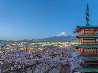 Hanami: Samurai en de Kersenbloesems